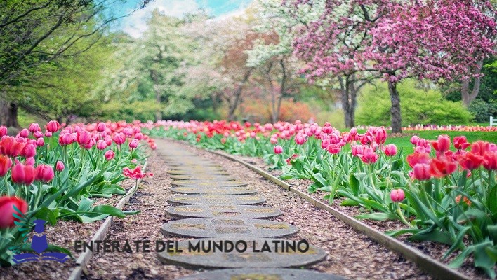 Taller de Decoración Floral