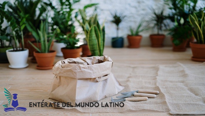 Curso de Jardinería Básica